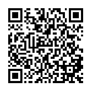 因此周狼对这个即将要见面的爱丽丝小姐还是有些好奇和期待的二维码生成
