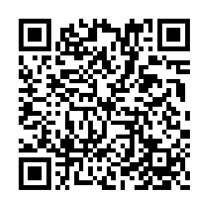 因此在合理的价格的前提下也许会有不少人购买二维码生成