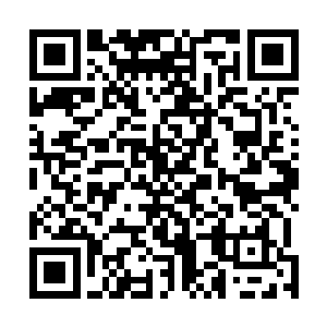 因此在回到水泥管中却发现自己最近的同居猫不在了之后二维码生成