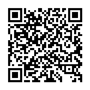 因此在家待一年完全不出门对于他来说也不是件多难受的事情二维码生成