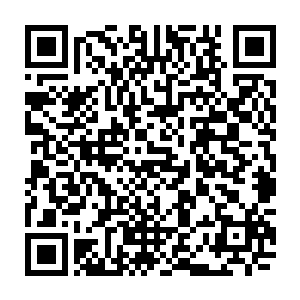 因此在海底生存了无数年的生物都不知道自己到底是归属于那位妖王的领地二维码生成