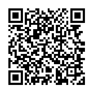 因此大部分人只能选择爆原力漩涡以阻止黑钛在体内的蔓延二维码生成