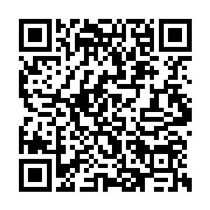 因此实际上他们看上去在很努力的帮着鬼王训练二维码生成
