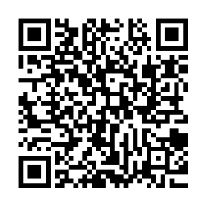 因此对于发现这个大型的灵晶矿脉杨戬的心中也是十分的兴奋二维码生成