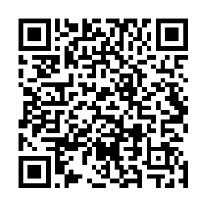 因此对于这几年的时间许德拉的心中可以说是十分的不舍的二维码生成