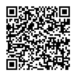 因此带着冰原巨熊部落的十万战士亲自前往海德拉冰川裂缝来迎接他的降临二维码生成