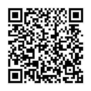 因此当她注意到路边树上已经有了星星点点的嫩绿的时候二维码生成