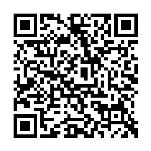 因此当白兰想起妮娜给她端了大餐过来时看到的二维码生成