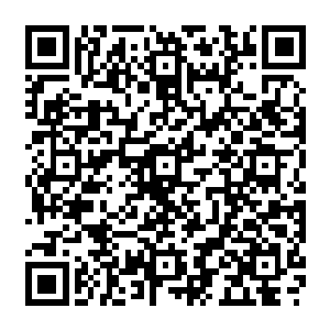 因此我得以更加深入和客观地分解自己的人生并且因此获得其他人未曾有过的体验二维码生成
