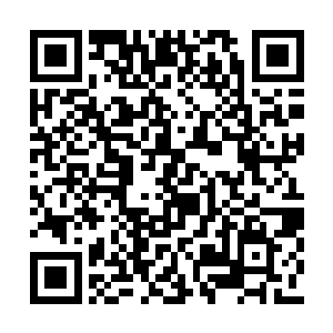 因此我神农门的底蕴并不弱于任何一个修真世家二维码生成