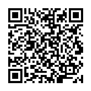 因此我选择毒蛇而不是那只蛮横的巫兽也是这个原因二维码生成