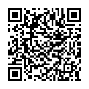 因此才会为了引起周其平共鸣跟我拉起这段仇恨二维码生成