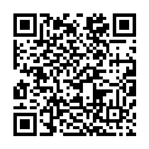 因此日后问道宗的人渡劫即便是想要失败只怕都十分的困难二维码生成