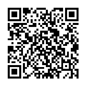 因此朝廷给有特殊贡献的四大家族放宽了袭爵的条件二维码生成