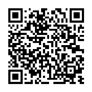 因此李敏进还推掉了五四那天在京城的一个新闻发布会呢二维码生成