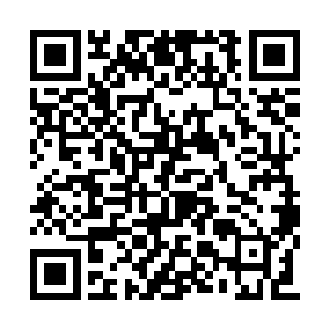 因此檀力呙的做法看起来就真的很是合情合理了二维码生成