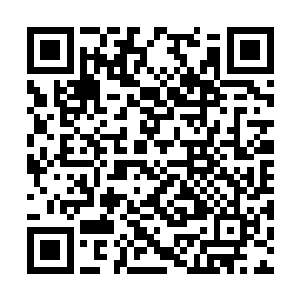 因此流传下来的都是一些在人族中口口相传的传说二维码生成