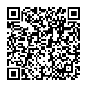 因此现在剑尘完全凭着帝王神器本身的锋利以及单纯的力量在绞杀这些飞天蚁二维码生成