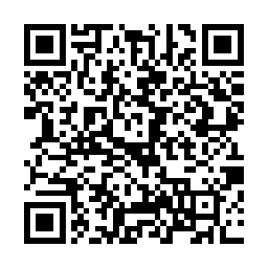 因此用功劳保了闻六夫人和儿女们不用跟随闻朝城去流放地二维码生成