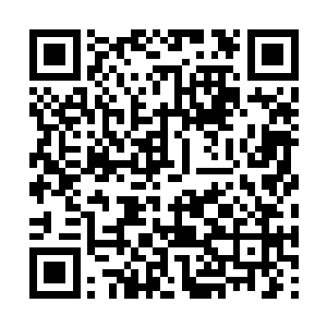 因此白一峰也只是和白初峰夫妇以及老夫人说起过二维码生成