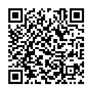 因此第六层与第七层之间有着难以想象的巨大差距二维码生成