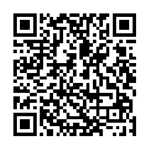 因此算是只针对拥有先天之气的存在才能发挥最好的效果二维码生成