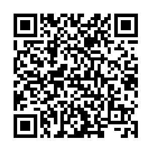 因此罗志阳在提出这个请求的时候自己也觉得有点过分二维码生成