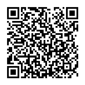 因此范子衿和齐修远保守估计要花费大概二十年的时间来完成大业二维码生成