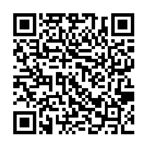 因此这两个术士非常确认雷林是一位纯血的科莫音巨蛇术士二维码生成