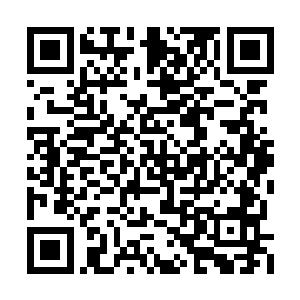 因此这刻眼看辛天仇要和自己玩以伤换伤的把戏二维码生成