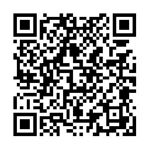 因此雷林此时只是阅读着芯片传送到记忆区的内容二维码生成