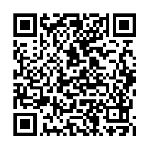 因此龙傲天几个人才得出了这么一个恐怖的结论二维码生成