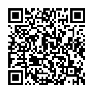 因紫衣女子无法预料叶青最后一下暴起力度方向二维码生成