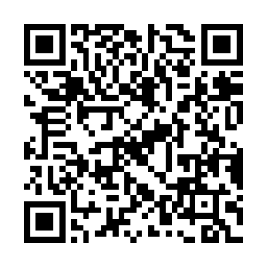 因绯闻关系而留在燕京休假的熊猫ar317代言人江一妍二维码生成