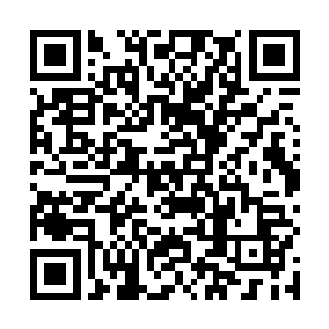 因而一些武道修为不深的人完全看不懂两人交手的玄机二维码生成