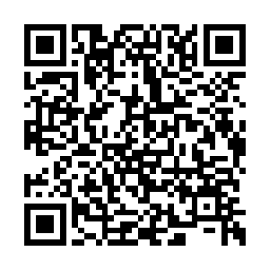 因而发展出复杂社会体系和低等文明的星空异族二维码生成