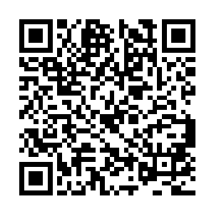 因赛科已经让我们看到了一个世界顶级打野的实力二维码生成