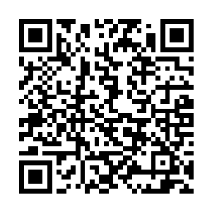 因赛科曾经来中蹲过他无数次但却一次都没有成功过二维码生成