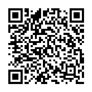 囡囡一听也望着父亲两只大眼睛忽闪忽闪的让人不忍心拒绝二维码生成