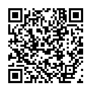 团里的佣兵实力大多数都还停留在圣者以及大圣者阶段二维码生成