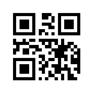 园玩二维码生成