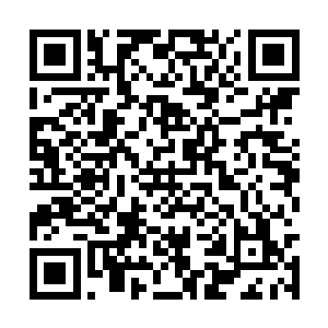 困在炼狱之地的修士用完了当年带进来的资源之后二维码生成