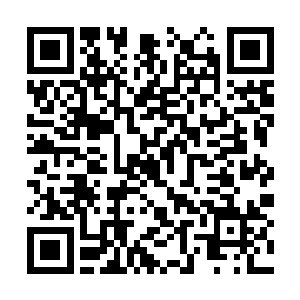 困阵似乎将所有的尸阴宗弟子全部都围拢在了中间二维码生成