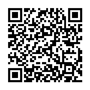 围在四周的白雾族的人听到这嚎啕大哭不少人也都眼睛通红二维码生成