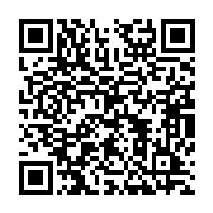 围攻玉炎子的八头机械兽大军中有一只机械豺狼的速度最快二维码生成