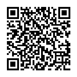 围绕在许星东身边的这几十个队员都是原来精英队的队员二维码生成