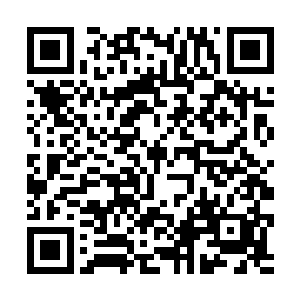 围绕着天灵盖的一圈角状天线又像是一顶辉煌的王冠二维码生成