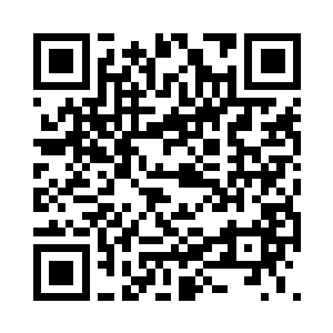 围绕着湖边生长的白色花儿随风掉落水中二维码生成