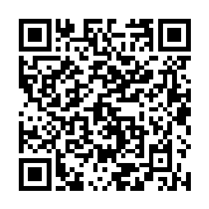 围绕谭烙周身旋转飞舞的十六只小盾牌中青色宝光一闪二维码生成