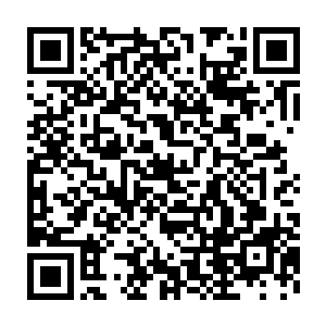 固定在他头盔上的镜头让在掣乎都没跳过伞的人们又齐刷刷的惊呼二维码生成